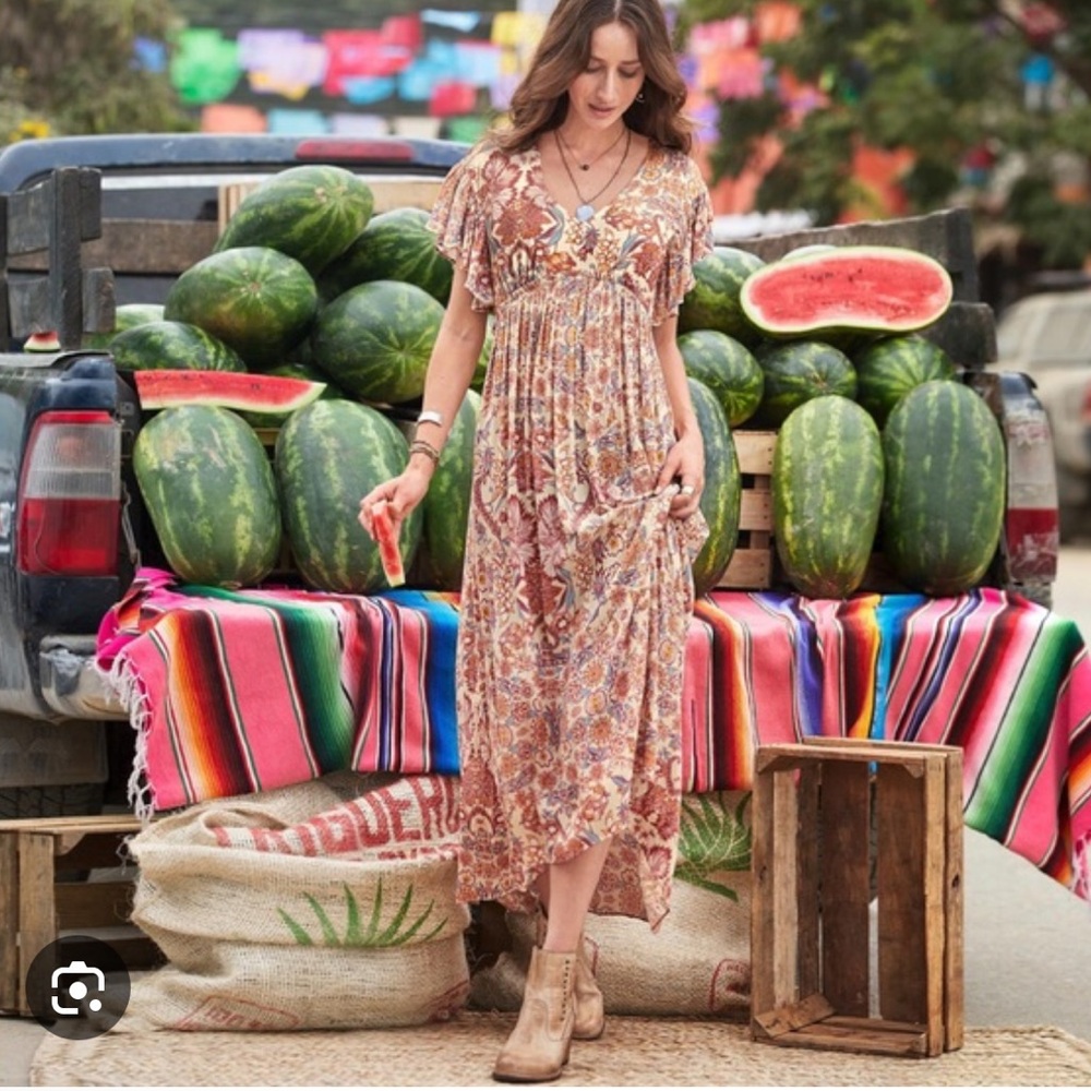 Sundance Faye Floral Flutter Short Sleeve High Low Dress Size 2 boho NEW Tags